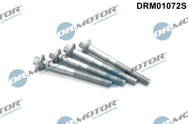 Surub, suport injector (DRM01072S DRM) Citroen,FORD,PEUGEOT