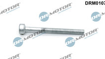 Surub, suport injector (DRM01074 DRM) JEEP,MERCEDE...
