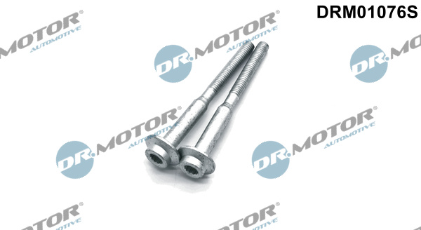 Surub, suport injector (DRM01076S DRM) AUDI,SEAT,SKODA,VW