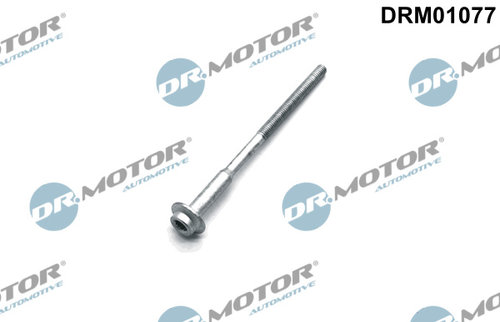 Surub, suport injector (DRM01077 DRM) SEAT,SKODA,VW