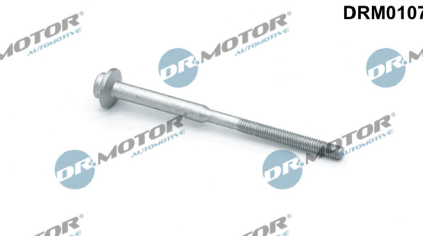 Surub, suport injector (DRM01079 DRM) AUDI,SEAT,SKODA,VW