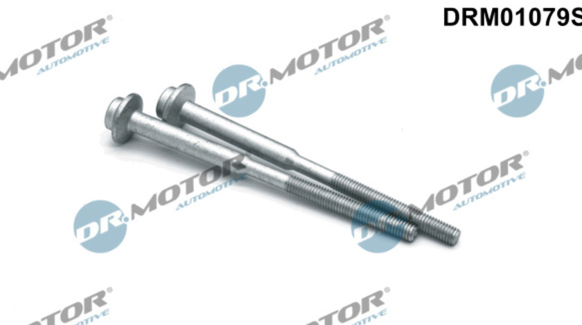 Surub, suport injector (DRM01079S DRM) AUDI,SEAT,SKODA,VW