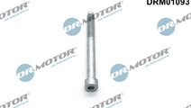 Surub, suport injector (DRM01093 DRM) Citroen,DS,F...