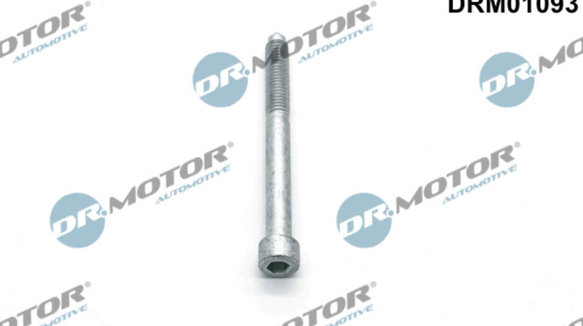 Surub, suport injector (DRM01093 DRM) Citroen,DS,FORD,FORD USA,PEUGEOT