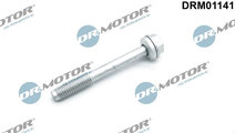 Surub, suport injector (DRM01141 DRM) OPEL,VAUXHAL...