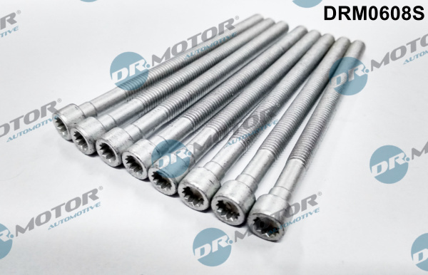 Surub, suport injector (DRM0608S DRM) AUDI,SEAT,SKODA,VW