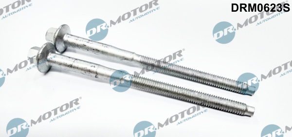Surub, suport injector (DRM0623S DRM) Citroen,FIAT,FORD,PEUGEOT