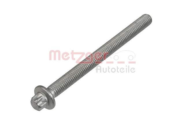 Surub Suport Injector Metzger Alpina 0873034