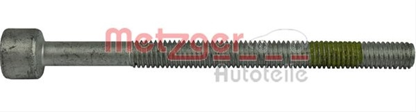 Surub Suport Injector Metzger Csnbb Smart 0873015