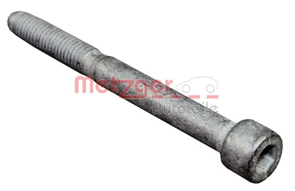 Surub Suport Injector Metzger Ford 0870135S