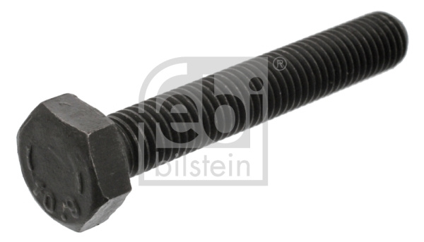 Surub, suport lagar-arbore cotit (18160 FEBI BILSTEIN) AUDI,VW
