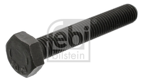 Surub, suport lagar-arbore cotit (18160 FEBI BILSTEIN) AUDI,VW