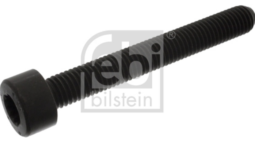 Surub, suport lagar-arbore cotit (18164 FEBI BILSTEIN) AUDI,FORD,SEAT,SKODA,VW