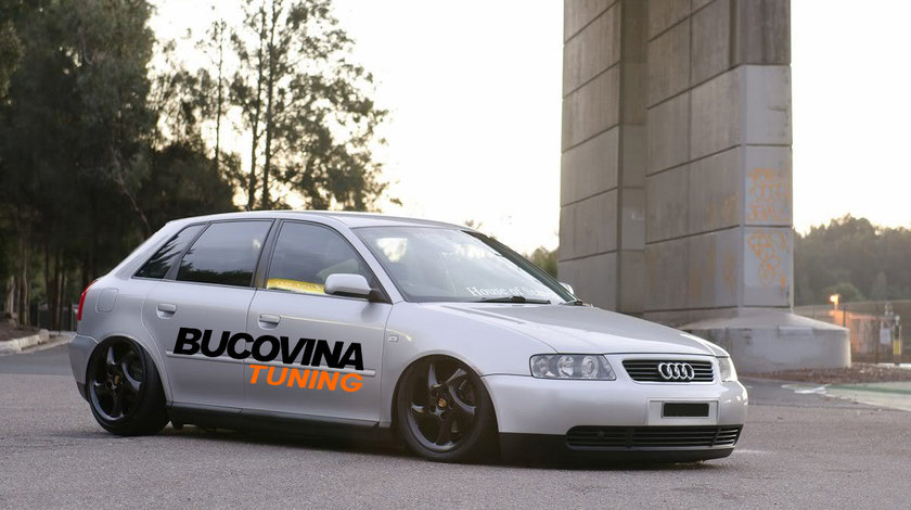 SUSPENSIE SPORT REGLABILA AUDI A3 8L (1996-2003)
