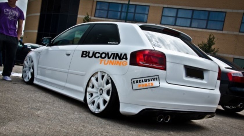 SUSPENSIE SPORT REGLABILA AUDI A3 8P (2003-2011) - 1350 LEI