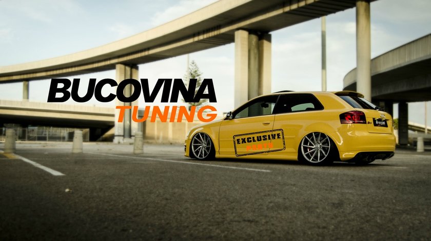 SUSPENSIE SPORT REGLABILA AUDI A3