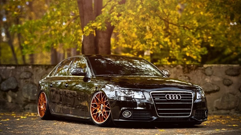 Suspensie Sport Reglabila Audi A4 B8
