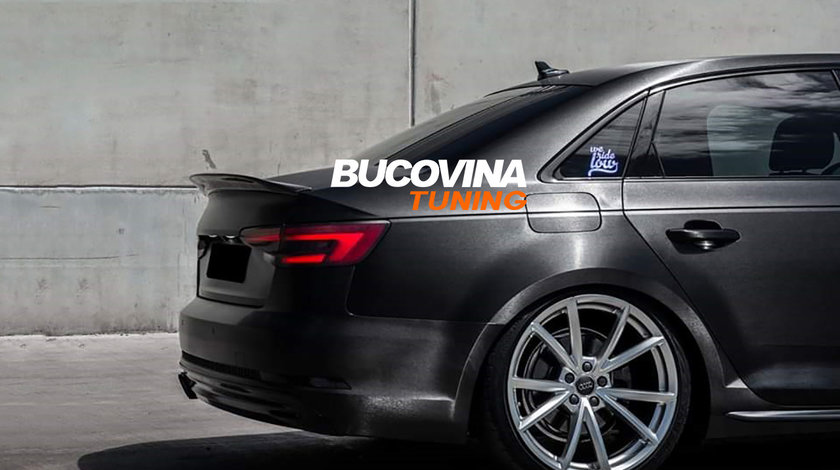 Suspensie Sport Reglabila Audi A4 B9 8W Limousine/Avant Quattro (Dupa-2016) Import Germania