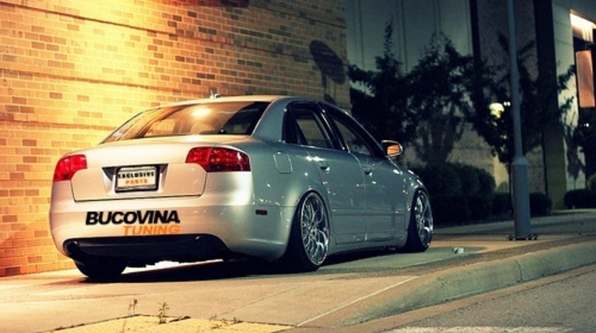 SUSPENSIE SPORT REGLABILA COMPATIBILA CU AUDI A4 B7 (04-07)