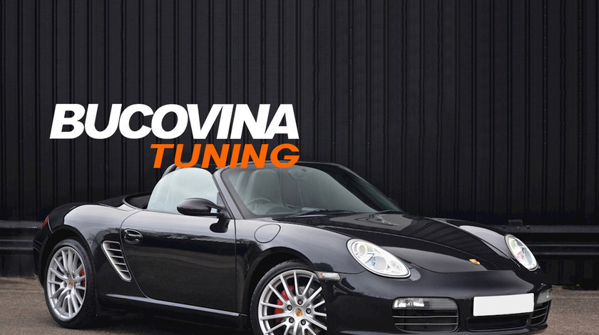 Suspensie Sport reglabila Porsche Boxter S 987 (04-11)
