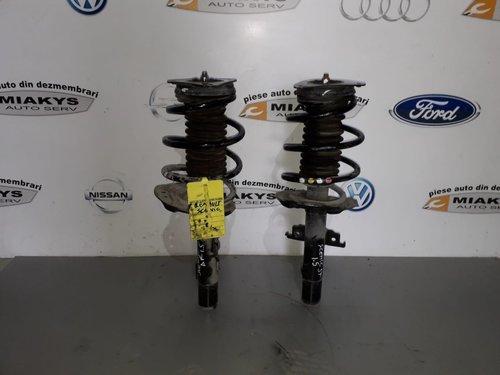 Suspensii fata Renault Scenic 4