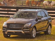 SUV-uri de top