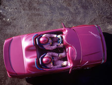 Suzuki Swiftster de la Zender