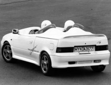 Suzuki Swiftster de la Zender