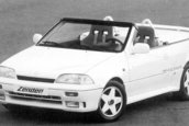 Suzuki Swiftster de la Zender