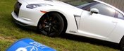 Switzer GT-R, doar 850 CP