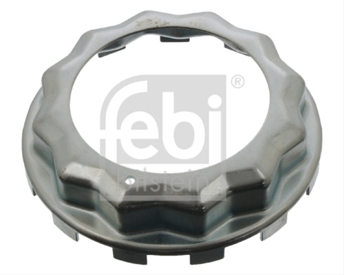 Tabla De Siguranta, Piulita Ax Febi Bilstein Renault Trucks 40775