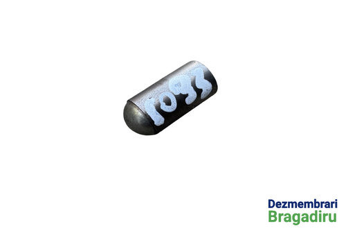 Tachet injector / Bolt injector / Pastila injector Nissan X-Trail T30 [facelift] [2003 - 2007] Cross...