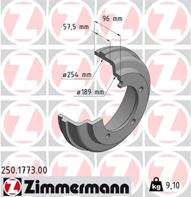 Tambur Frana Zimmermann Ford 250.1773.00