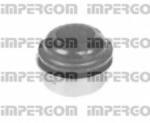Tampon cauciuc, suspensie RENAULT MASTER II platou / sasiu (ED/HD/UD) (1998 - 2010) ORIGINAL IMPERIU...