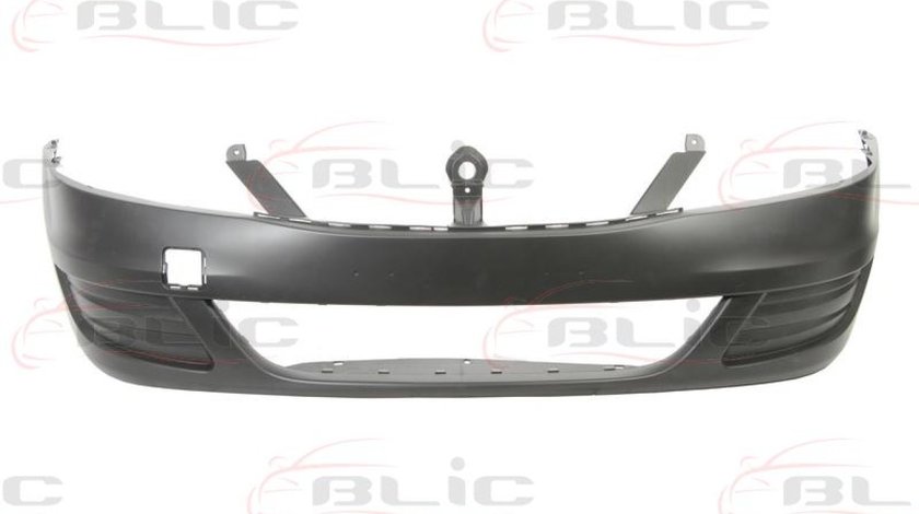 Tampon DACIA LOGAN LS Producator BLIC 5510-00-1301902P