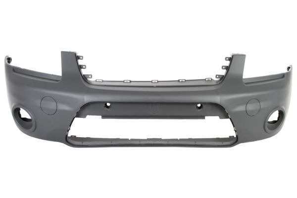 Tampon fata (5510002507907Q BLIC) FORD