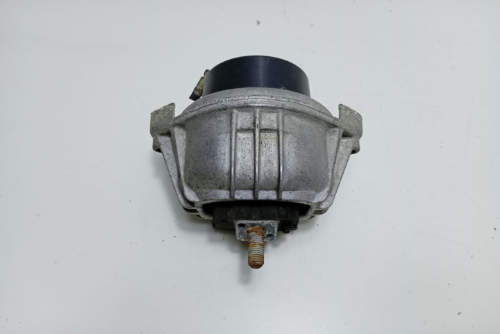 Tampon motor 139811 BMW X1 E84 [2009 - 2012]