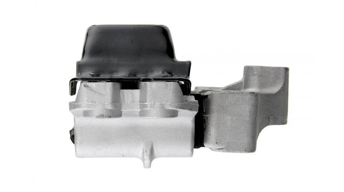 Tampon motor Volkswagen Tiguan (2007->)[5N_] #1 5N0199555