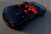 Tauro Spider