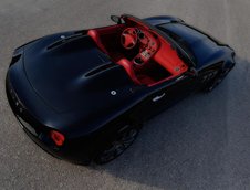 Tauro Spider