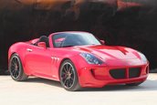 Tauro Spider