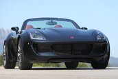 Tauro Spider
