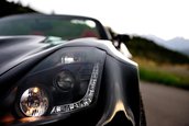 Tauro Spider