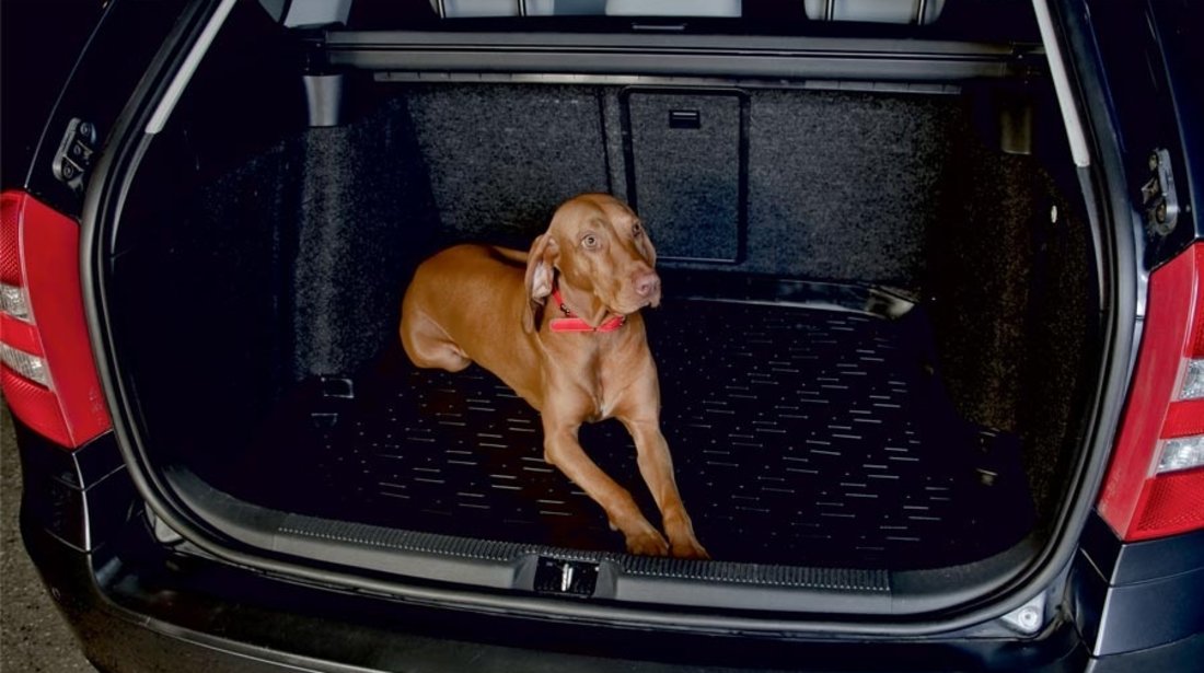 Tavita portbagaj Porsche Cayenne 1 (9PA) Facelift 2007-2010 08224