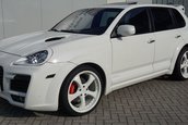 TechArt Magnum de vanzare