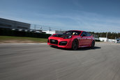 TechArt modifica noile Panamera si Cayenne