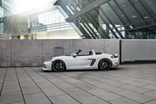 TechArt Porsche 718 Cayman si Boxster