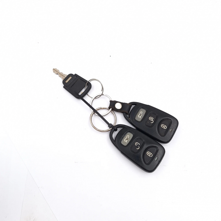 Telecomanda Hyundai SONATA 5 (NF) 2005 - 2010 Benzina