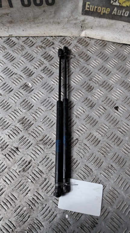 Telescoape haion Citroen C3 1.6 1.6V an fabricatie 2004