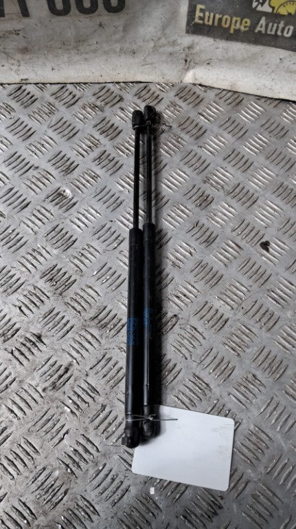 Telescoape haion Citroen C3 1.6 1.6V an fabricatie 2004